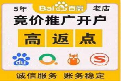 竞价托管实战案例：优化广告投放策略